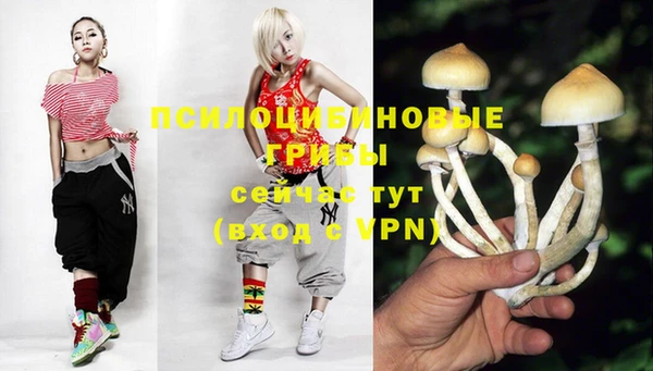 синтетический гашиш Беломорск
