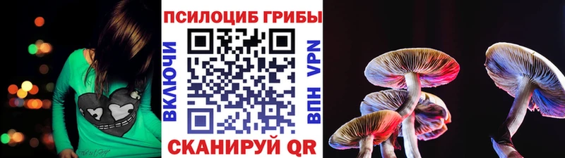 Псилоцибиновые грибы MAGIC MUSHROOMS  закладка  гидра зеркало  Заполярный 